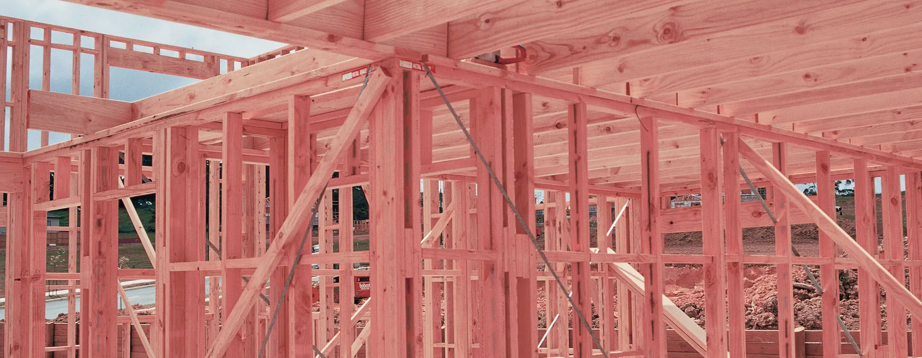 Pink Timber Treatment New Zealand