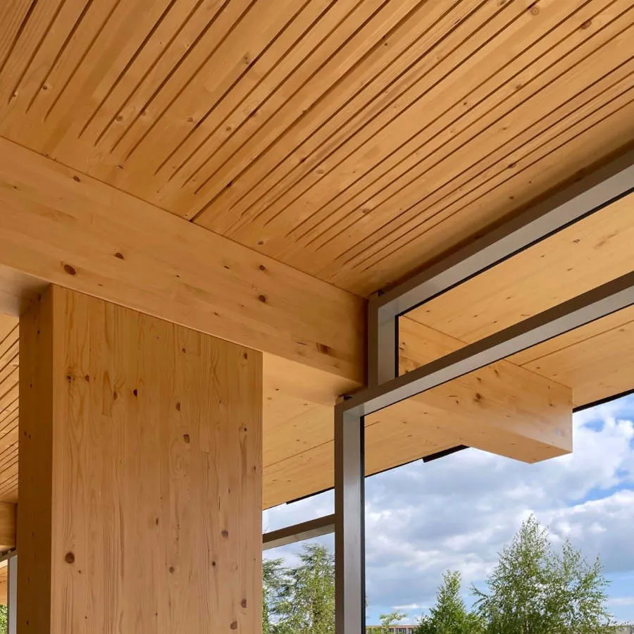 Wood ceiling and floor elements by Lignatur