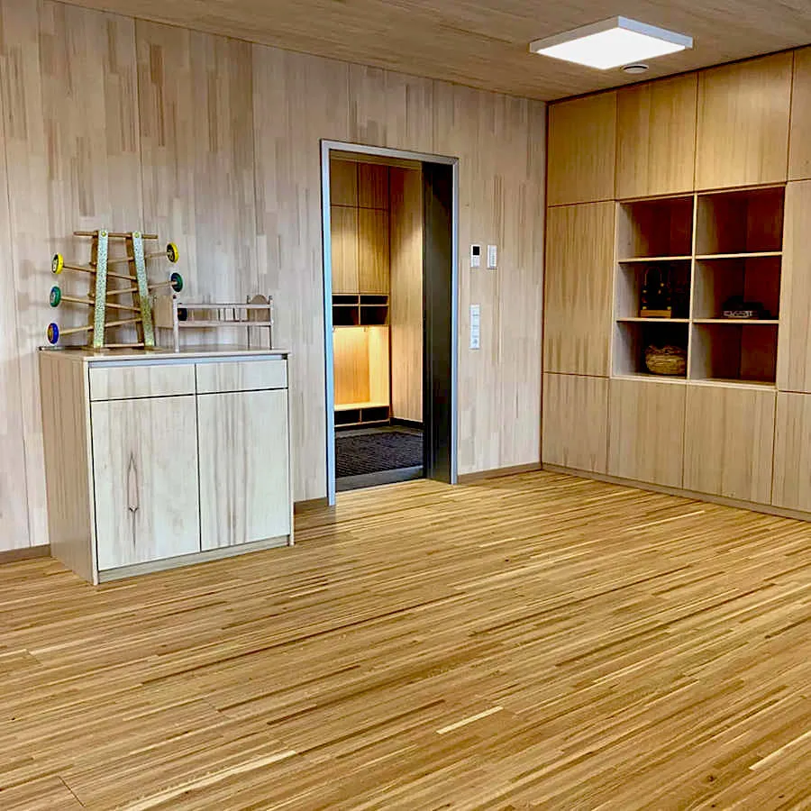 Geiger Holzsystembau Wood System Construction