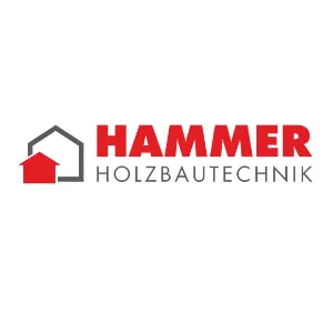 Hammer 12 Company Logo