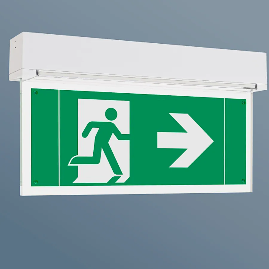 Emergency Lighting by Labor Strauss