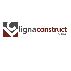 Ligna Construct Srl 12 Wood Houses CLT Ligna