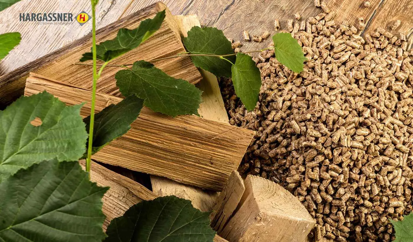 Innovative Biomass Heaters by Hargassner