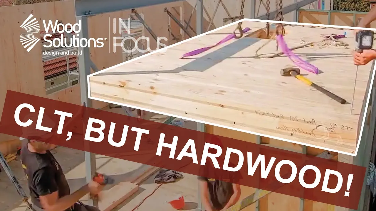 hardwood CLT