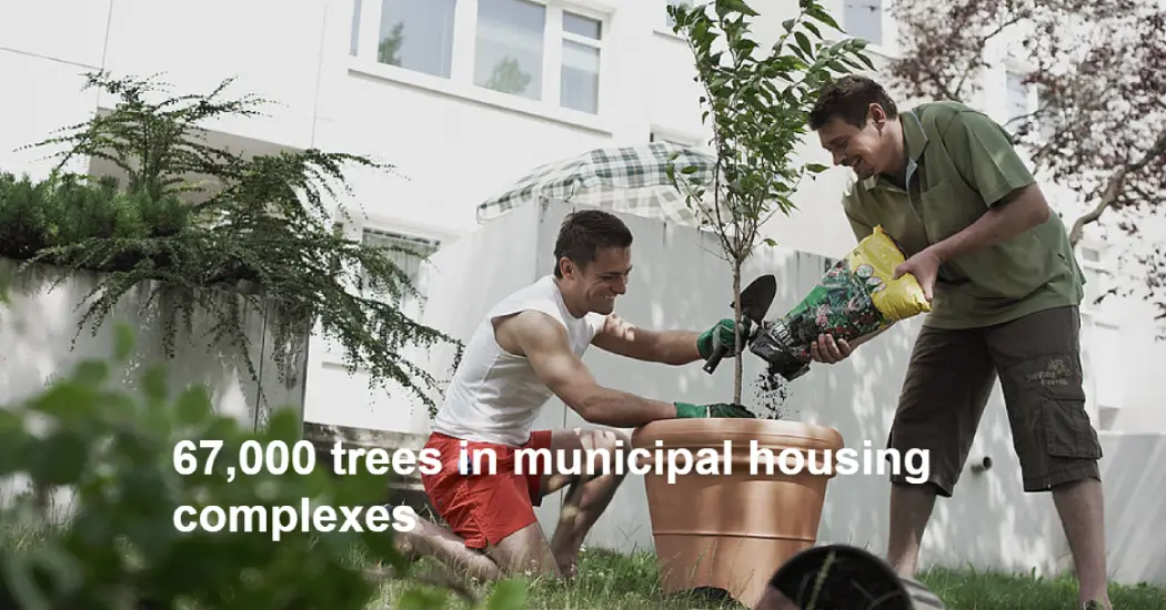 affordable housing vienna 67000 trees vienna social housing