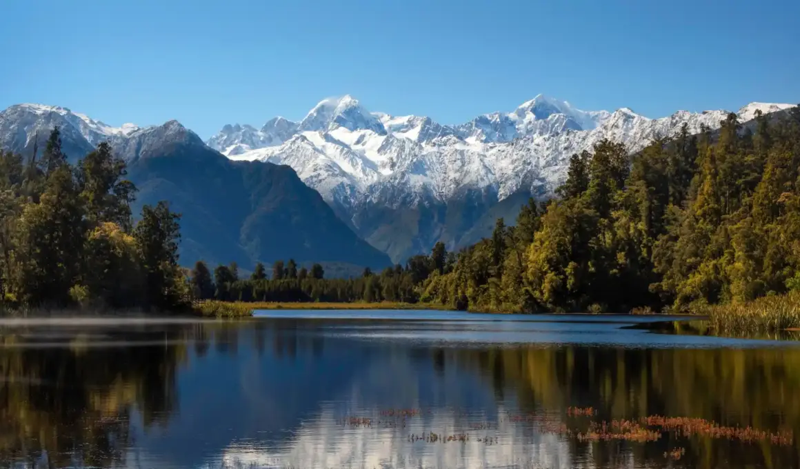 Living in New Zealand 25 years my review