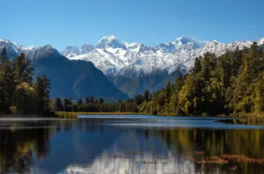 Living in New Zealand 25 years my review