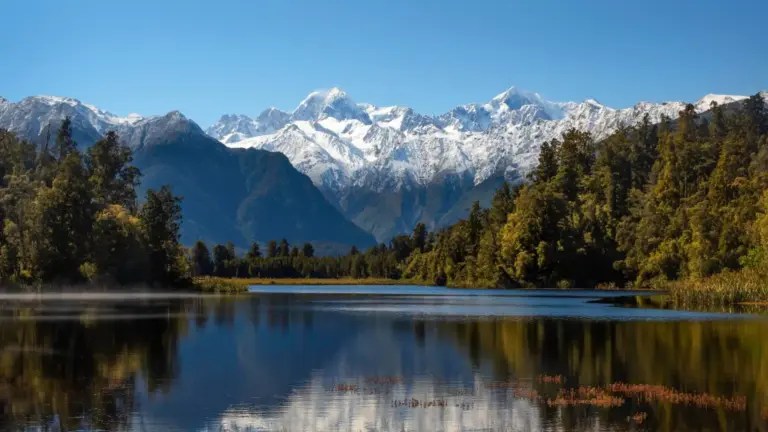 Living in New Zealand 25 years my review
